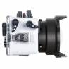 Caisson IKELITE 200DLM pour CANON EOS R8