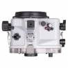 Caisson IKELITE DL200 pour NIKON D850
