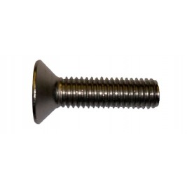 Stainless steel screw - OMS