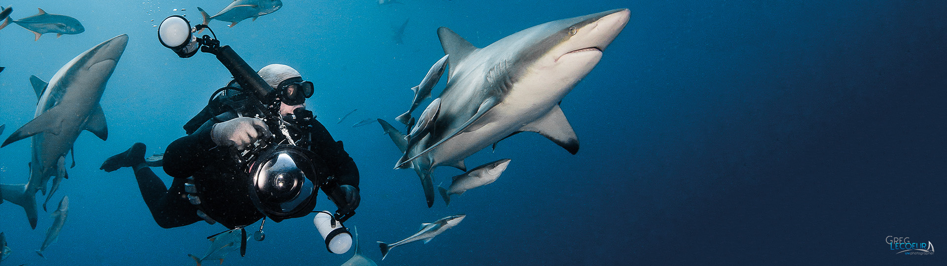 TEK Plongée Photo et vidéo sous-marine